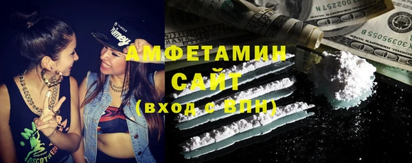 стаф Аркадак