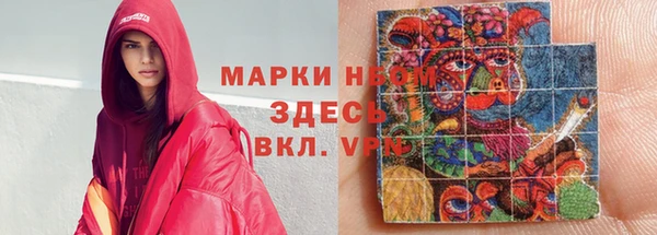 стаф Аркадак