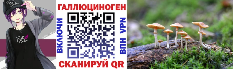 Псилоцибиновые грибы GOLDEN TEACHER  как найти закладки  Лагань 